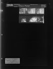 Tobacco Market (6 Negatives), August 23-27, 1967 [Sleeve 47, Folder c, Box 43]
